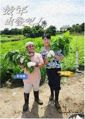 91影视 花儿与少年5